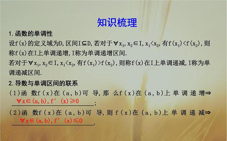 2019届二轮（理科数学）　函数的单调性与导数课件（30张）（全国通用）第4页