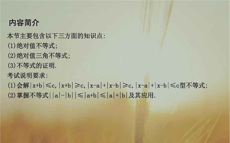 2019届二轮（理科数学）　绝对值不等式及不等式的证明课件（22张）（全国通用）02