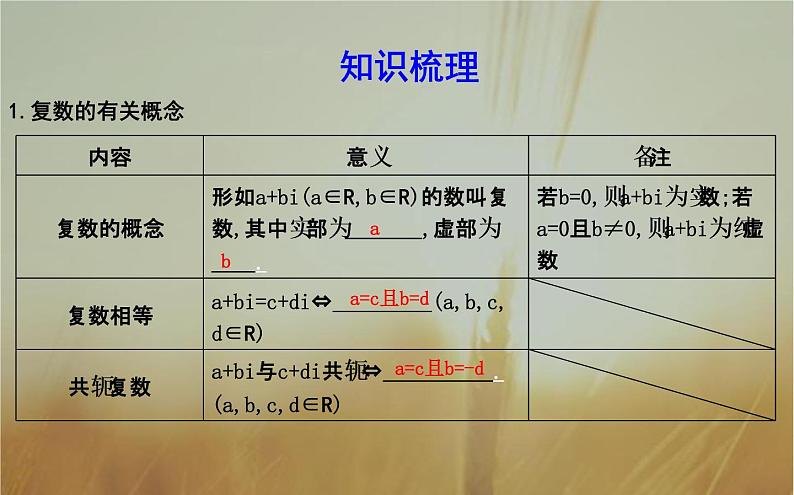 2019届二轮（理科数学）　数系的扩充与复数的引入课件（25张）（全国通用）第4页