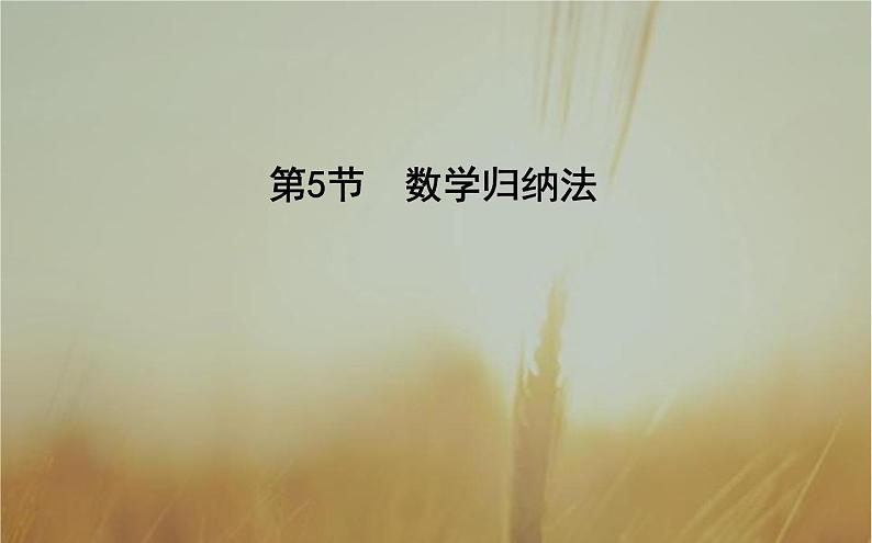 2019届二轮（理科数学）　数学归纳法课件（23张）（全国通用）01