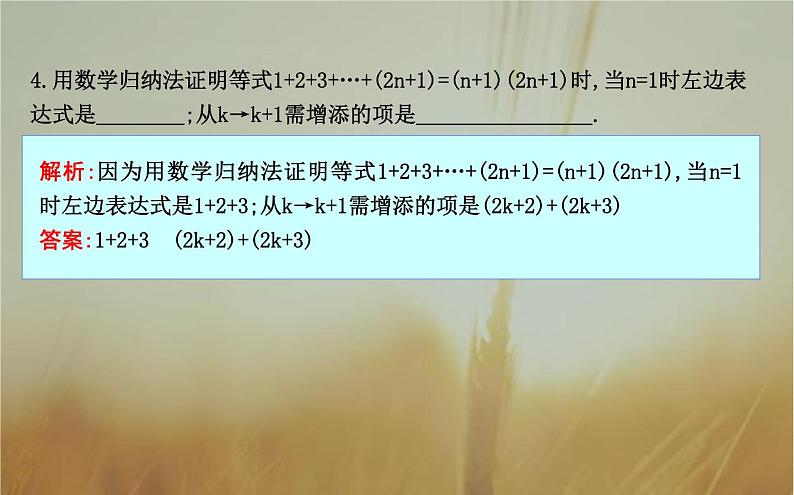 2019届二轮（理科数学）　数学归纳法课件（23张）（全国通用）08