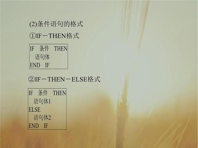 2019届二轮复习  　算法与程序框图  课件（40张）（全国通用）07