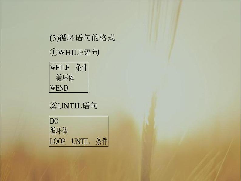 2019届二轮复习  　算法与程序框图  课件（40张）（全国通用）08