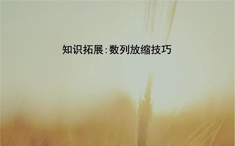 2019届二轮（理科数学）知识拓展数列放缩技巧课件（24张）（全国通用）01
