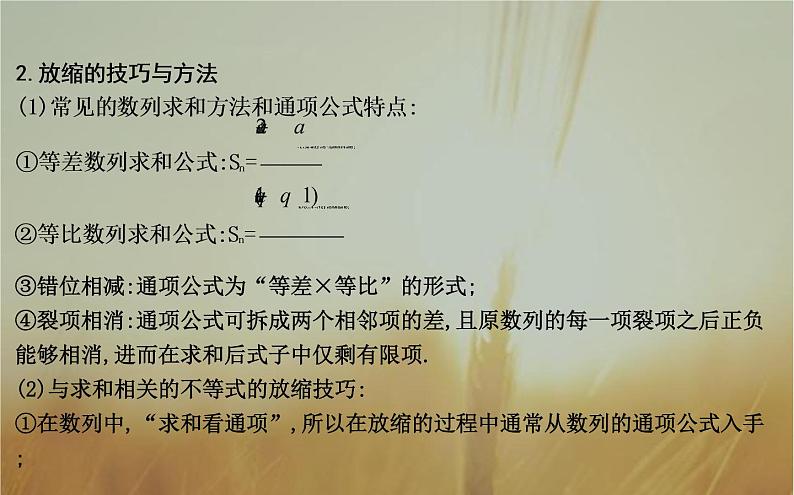 2019届二轮（理科数学）知识拓展数列放缩技巧课件（24张）（全国通用）04