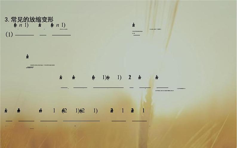 2019届二轮（理科数学）知识拓展数列放缩技巧课件（24张）（全国通用）08