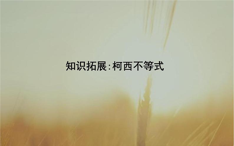 2019届二轮（理科数学）知识拓展柯西不等式课件（16张）（全国通用）01