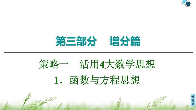 2020届二轮复习(理)第3部分策略11.函数与方程思想课件（48张）01