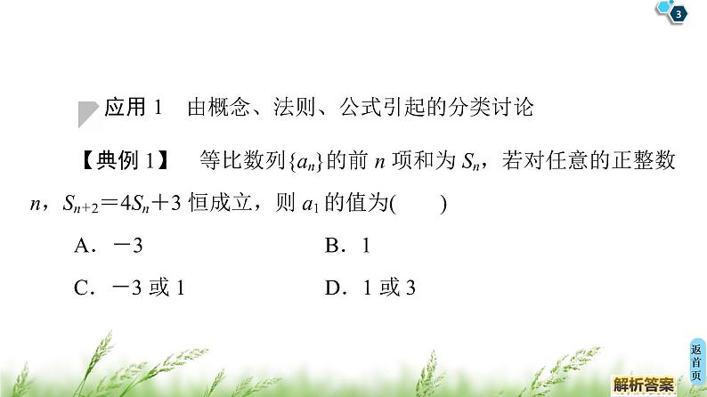 2020届二轮复习(文)第3部分策略13.分类与整合思想课件（35张）03