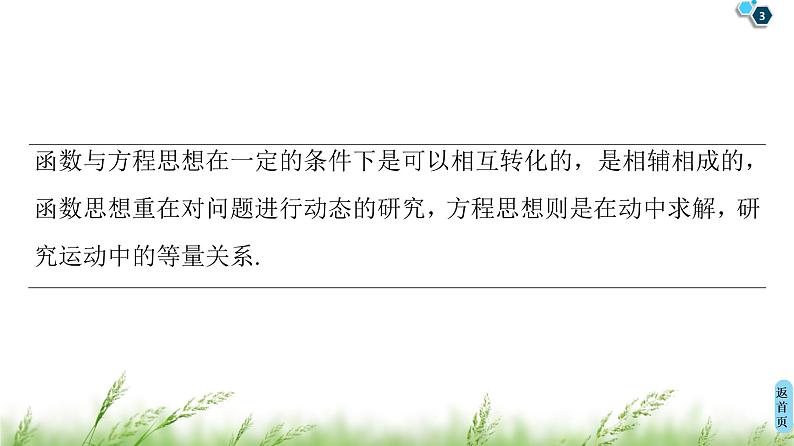 2020届二轮复习(文)第3部分策略11.函数与方程思想课件（49张）03
