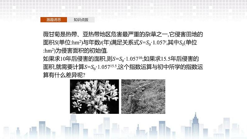 （新）北师大版数学必修第一册课件：第三章　§1　指数幂的拓展　§2　指数幂的运算性质03