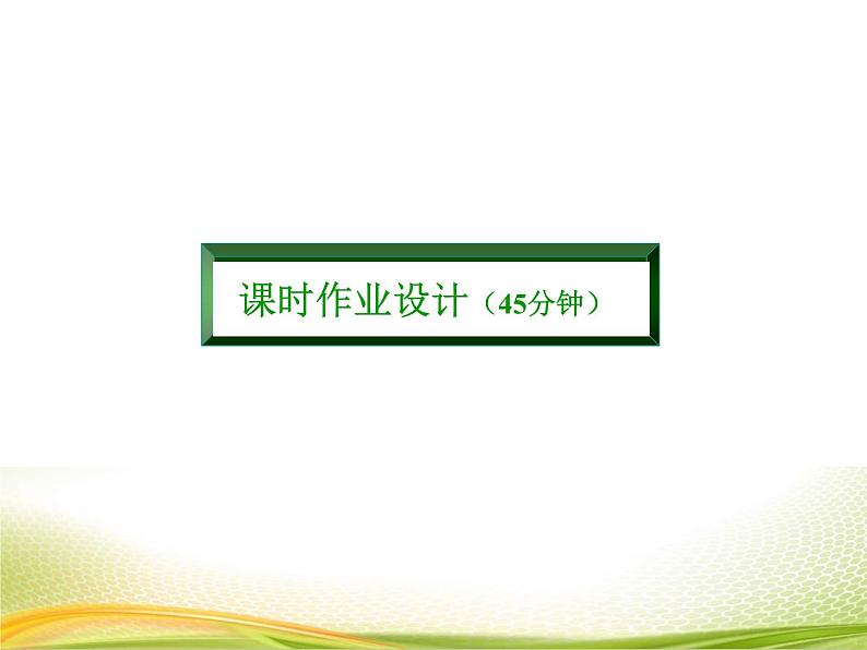 （新）人教A版数学必修一作业课件：1.5.2 全称量词命题与存在量词命题的否定（含解析）第3页