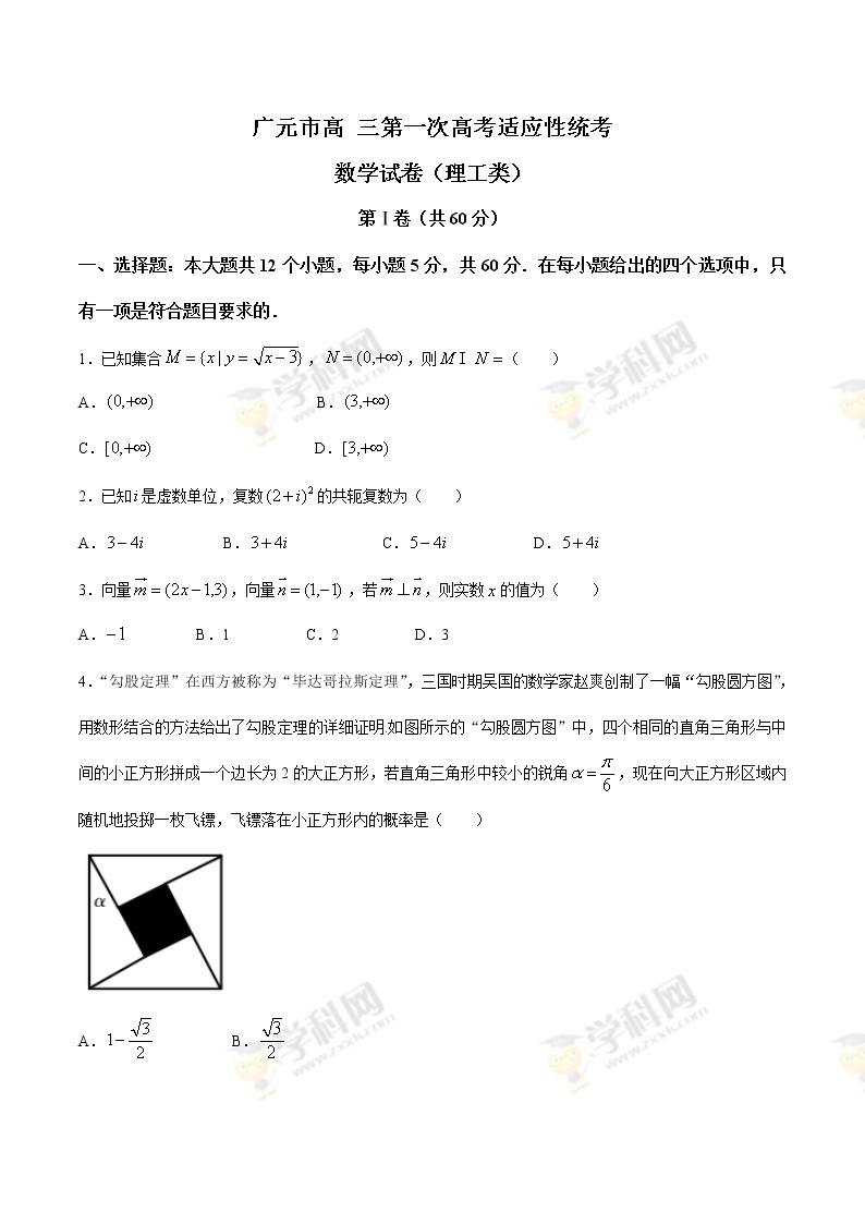 四川省广元市高三第一次高考适应性统考数学（理）试题附答案01