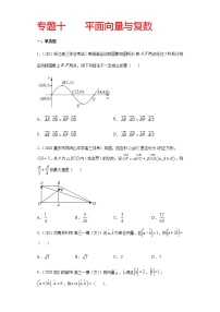 专题十 平面向量与复数-2021届高三《新题速递•数学》1月刊（江苏专用 适用于高考复习）
