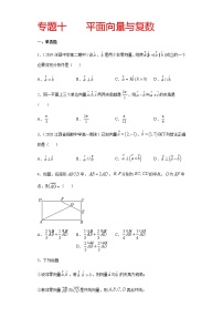 专题十 平面向量与复数-2021届高三《新题速递•数学》11月刊（江苏专用 适用于高考复习）