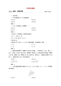 高中数学人教B版 (2019)必修 第一册2.1.3 方程组的解集优秀课后练习题