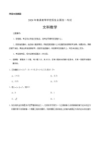 2020年全国卷Ⅰ文数考试题文档版（无答案）