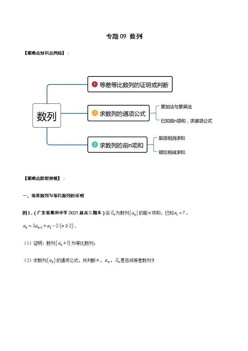 专题09 数列（重难点突破）-【教育机构专用】2020-2021学年高三数学寒假辅导讲义（全国通用）01