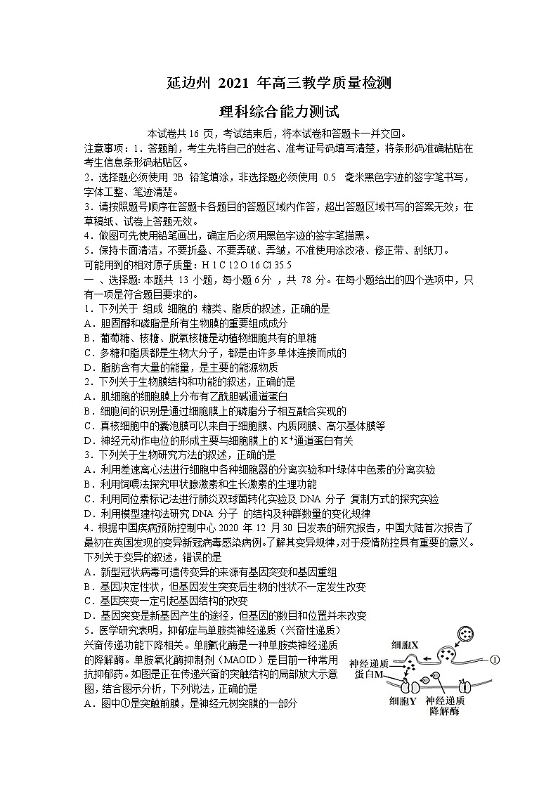 吉林省延边州2021届高三教学质量检测（2月底）理综试题 Word版含答案01