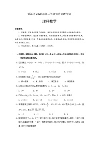 湖北省武汉市武昌区2020届高三元月调研考试数学（理）试题 Word版含答案