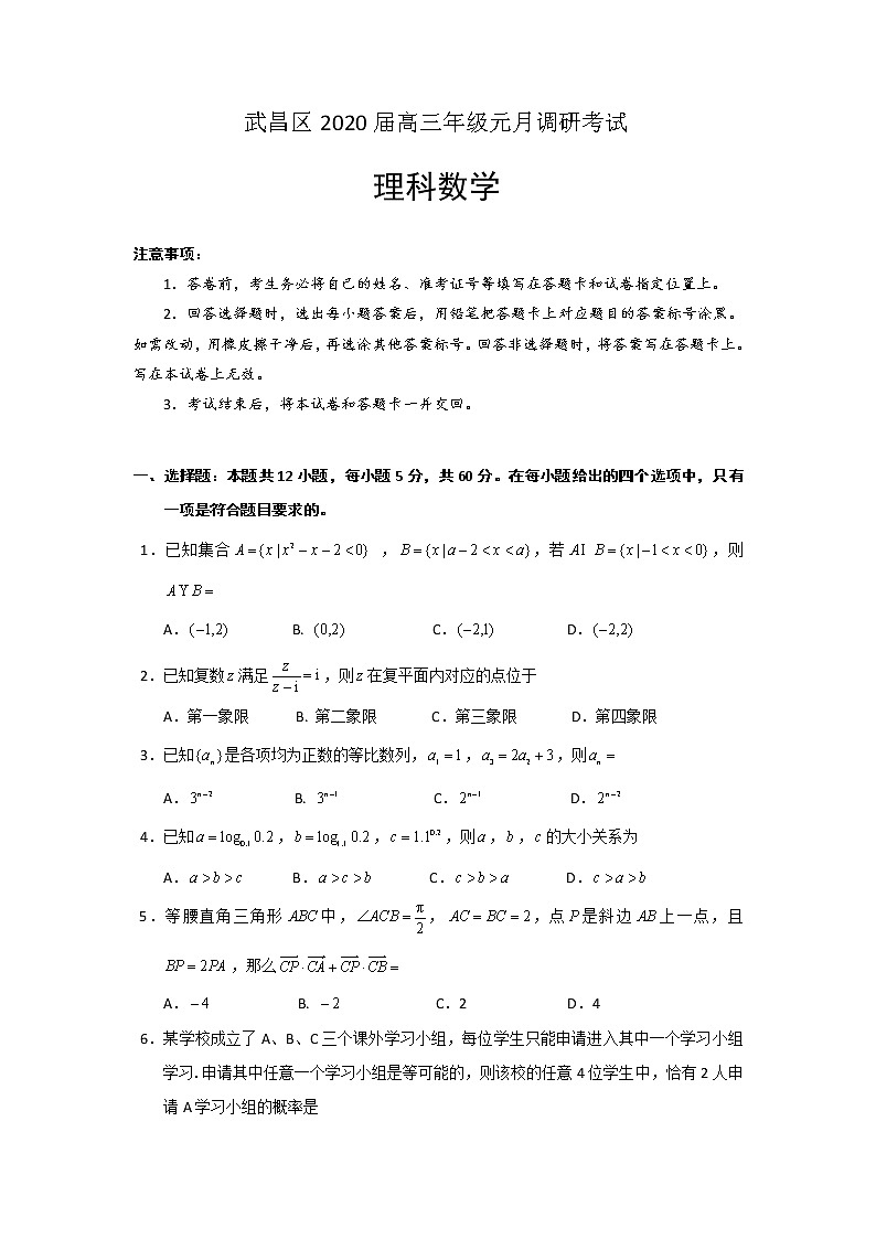 湖北省武汉市武昌区2020届高三元月调研考试数学（理）试题 Word版含答案01
