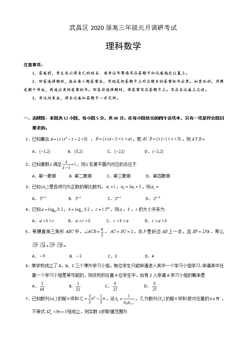 2020届湖北省武汉市武昌区高三元月调研考试数学（理）试题01