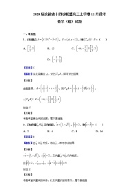 2020届安徽省十四校联盟高三上学期11月段考数学（理）试题（解析版）