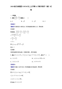 2020届百校联盟TOP20高三上学期11月联考数学（理）试题（解析版）