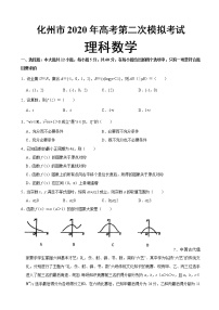 2020届广东省化州市高三第二次模拟考试数学（理）试题