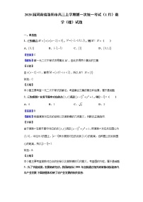 2020届河南省洛阳市高三上学期第一次统一考试（1月）数学（理）试题（解析版）