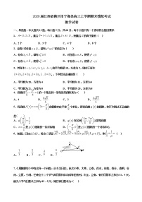 2020届江西省赣州市宁都县高三上学期期末模拟考试数学试卷
