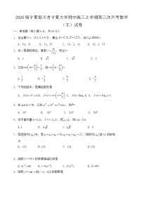 2020届宁夏银川市宁夏大学附中高三上学期第三次月考数学（文）试卷
