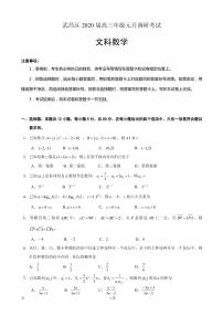 2020届湖北省武汉市武昌区高三元月调研考试数学（文）试题（PDF版）