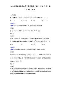 2020届河南省洛阳市高三上学期第一次统一考试（1月）数学（文）试题（解析版）