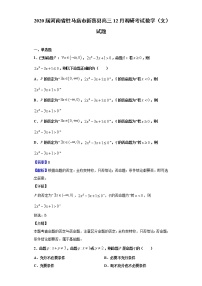 2020届河南省驻马店市新蔡县高三12月调研考试数学（文）试题（解析版）