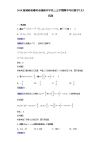 2020届湖南省郴州市湘南中学高三上学期期中考试数学（文）试题（解析版）