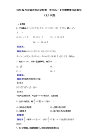 2020届四川省泸州市泸县第一中学高三上学期期末考试数学（文）试题（解析版）