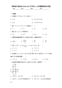 河南省平顶山市2020-2021学年高一上学期期末数学试题（word版 含答案）