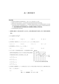 河南省九师联盟2021届高三下学期四月联考数学（理）试题（含答案）