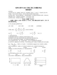 2021年5哈师大附中东北三省三校三模理数