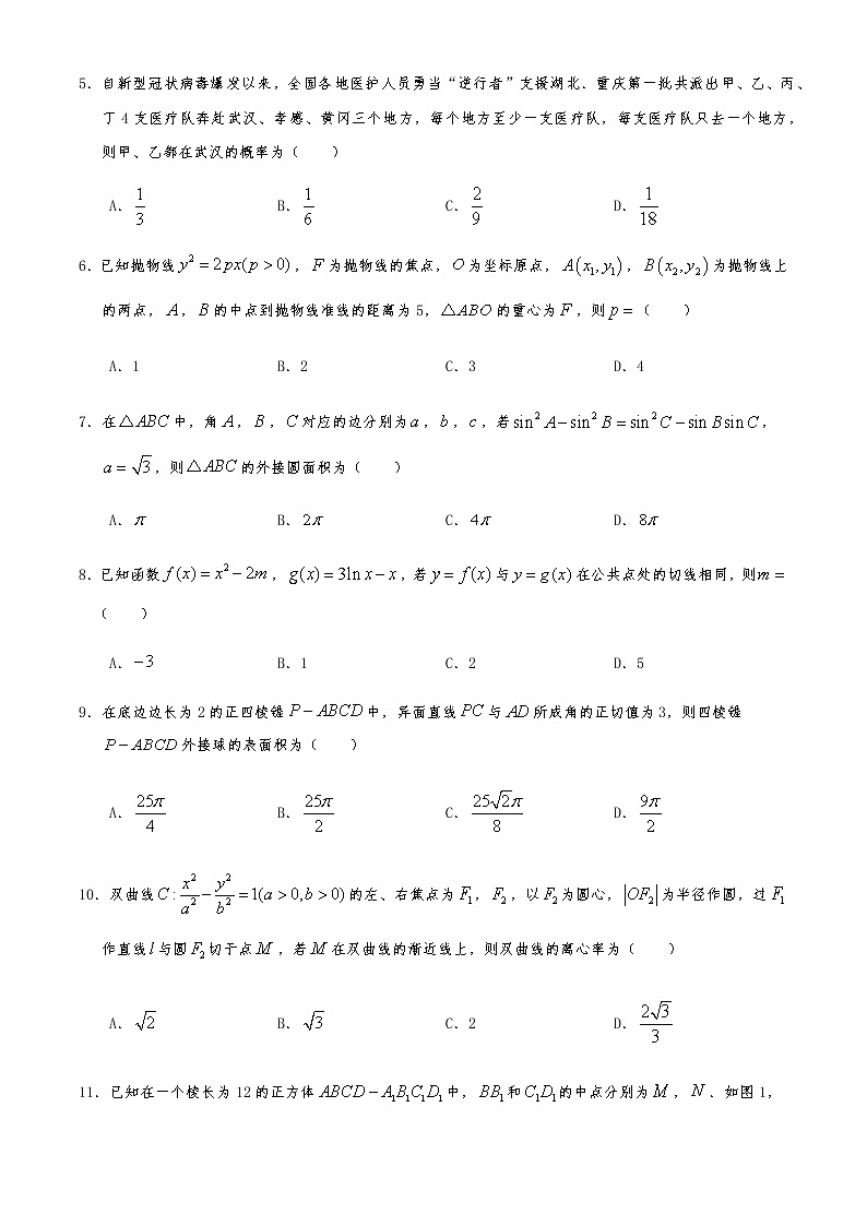 2020届重庆市巴蜀中学高三下学期适应性月考九理科数学试题02