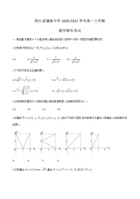 浙江省镇海中学2020-2021学年高一上学期期末考试数学试题+Word版含答案