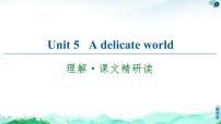 英语Unit 5 A delicate world课文ppt课件