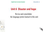 Unit 6 Disaster and hope Review 课件（1）(共29张PPT)