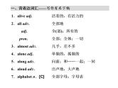 高中英语 素养积累 第二周 课件