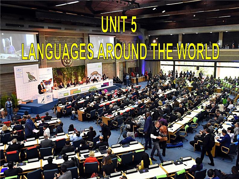 人教版（2019）英语高中必修一Unit 5 Project课件PPT02