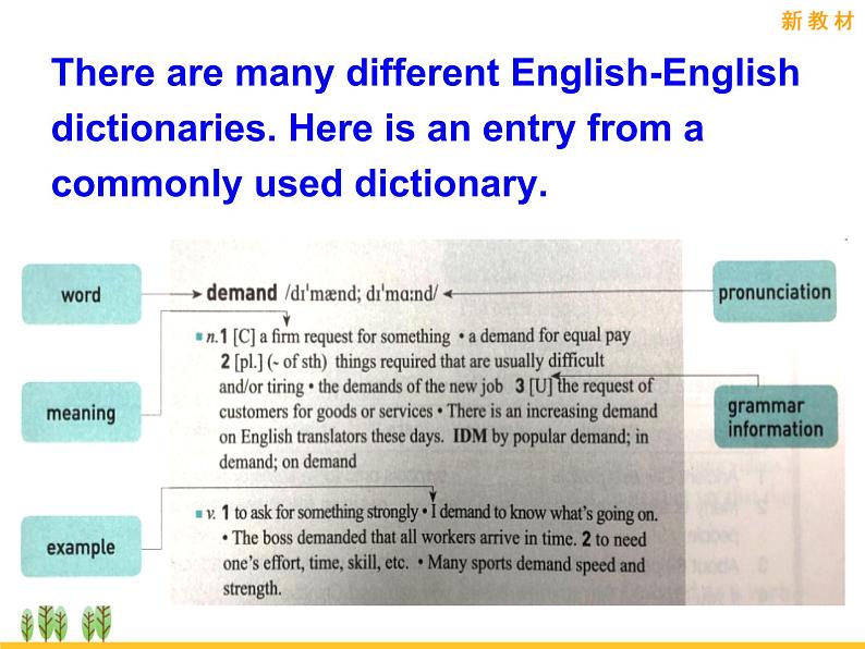 人教版（2019）英语高中必修一Unit 5 Project课件PPT08