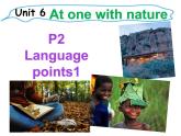 外研版（2019） 必修第一册 Unit 6 At one with nature Language points1(共20张PPT)