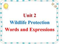 高中英语人教版 (2019)必修 第二册Unit 2 Wildlife protection课文ppt课件