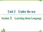 2021-2022学年高中人教版英语选修7课件：Unit3+SectionⅡ　Learning+about+Language